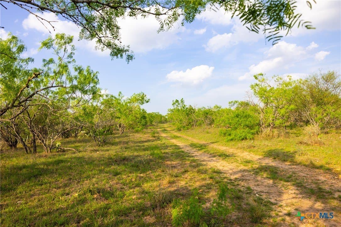 67 acres in Guadalupe County - photo 5