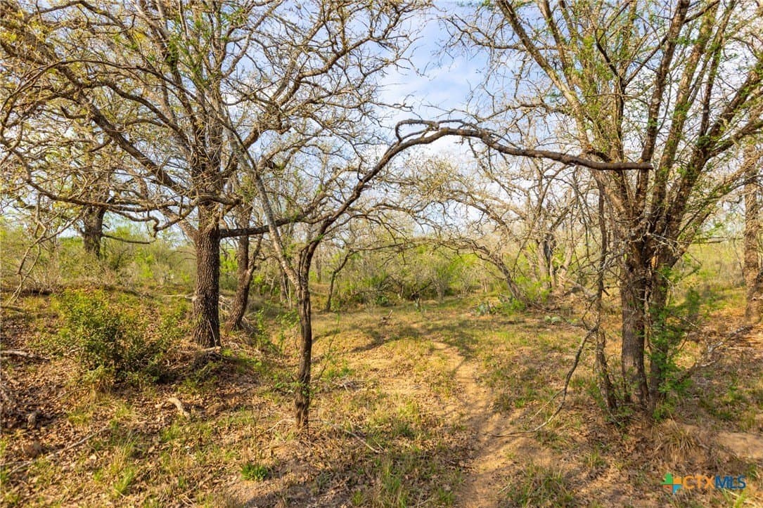 67 acres in Guadalupe County - photo 14