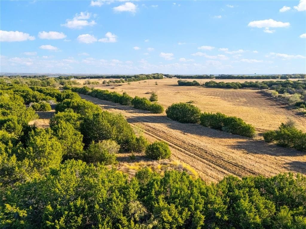 111 acres in McLennan County - photo 19