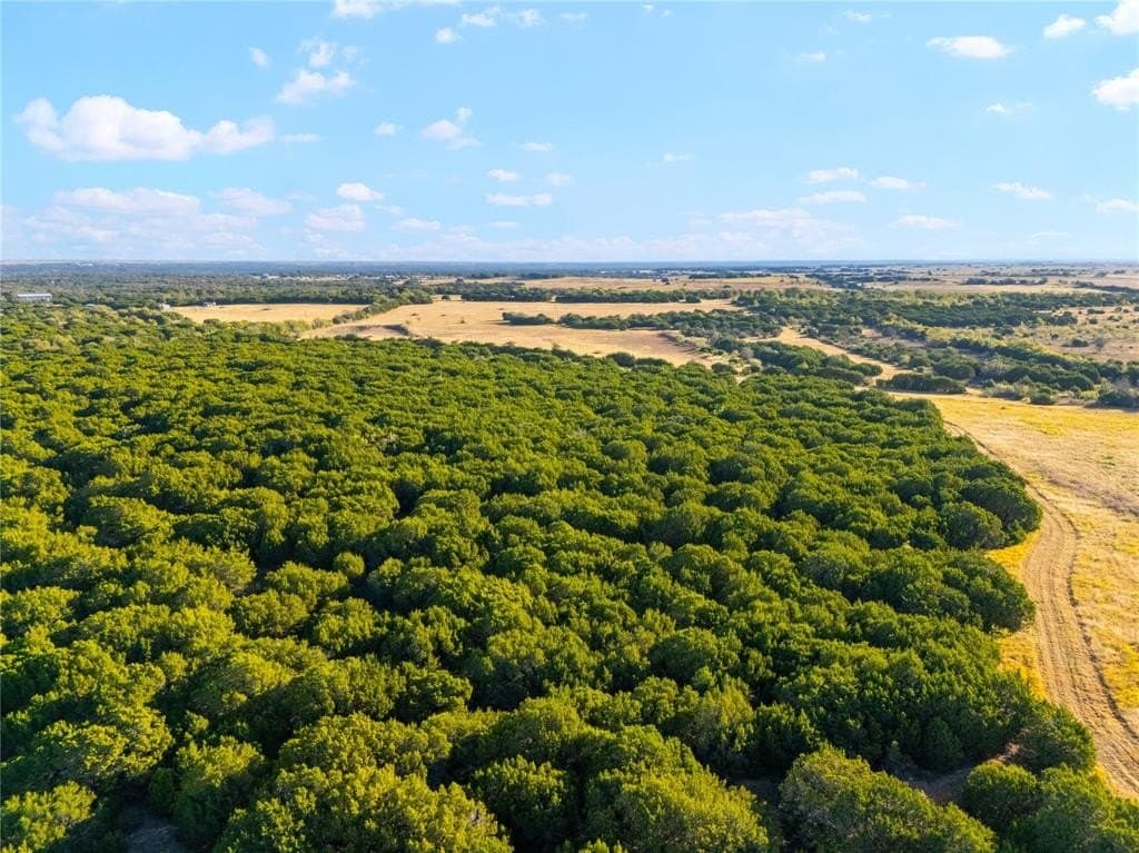 111 acres in McLennan County - photo 25