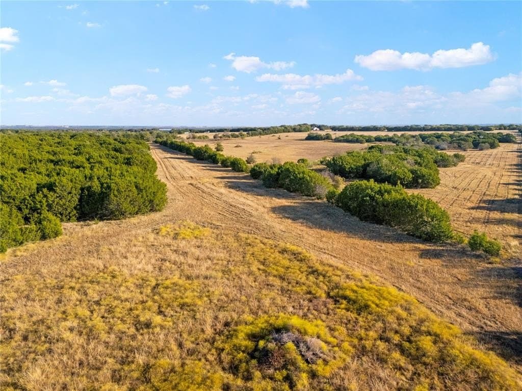 111 acres in McLennan County - photo 22