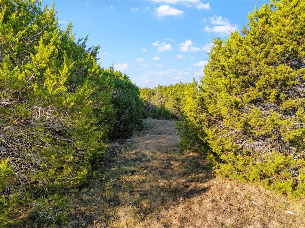 111 acres in McLennan County - photo 20