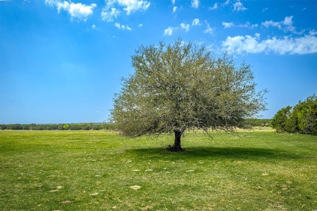 111 acres in McLennan County - photo 5
