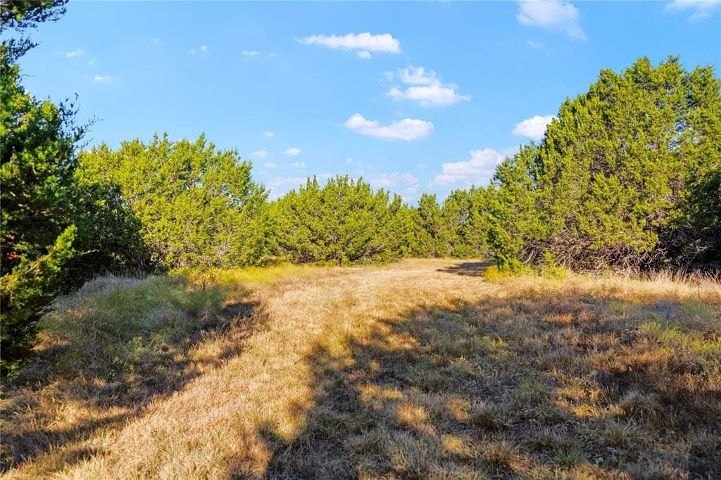 111 acres in McLennan County - photo 27