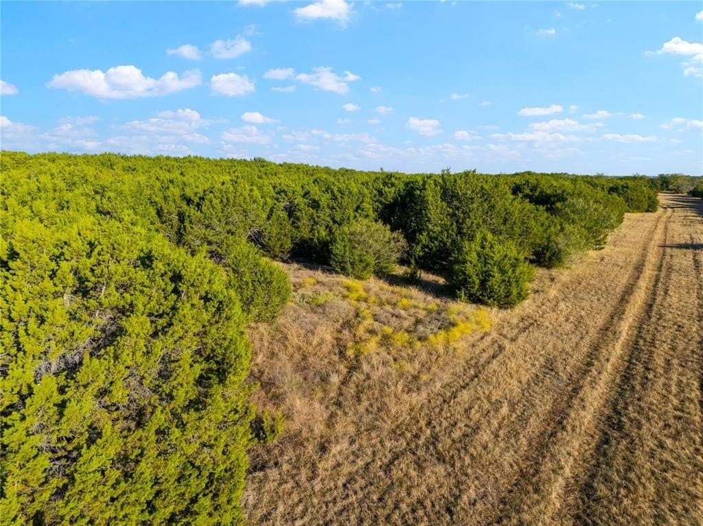 111 acres in McLennan County - photo 24