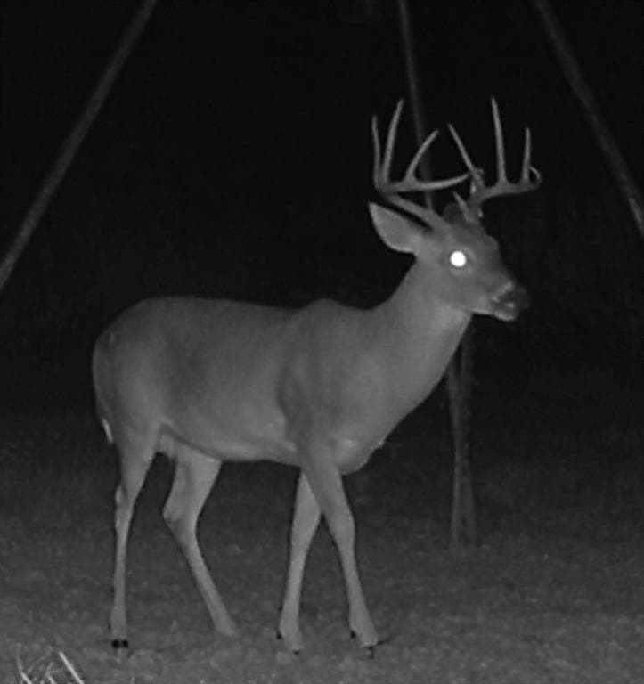 91.68 acres in Jack County - photo 24