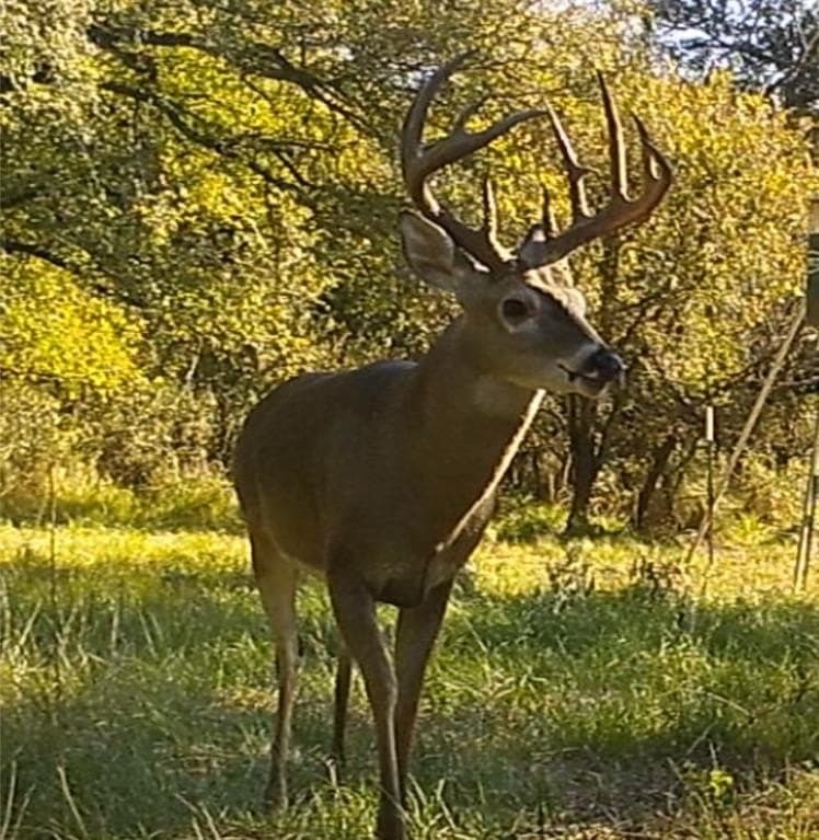 91.68 acres in Jack County - photo 26