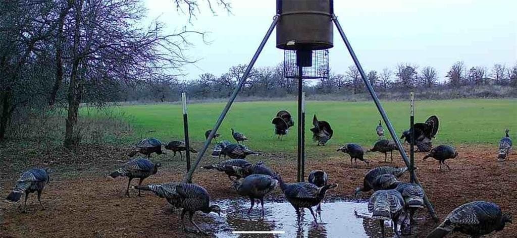 91.68 acres in Jack County - photo 27