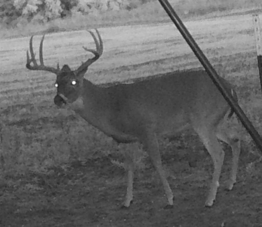 91.68 acres in Jack County - photo 28