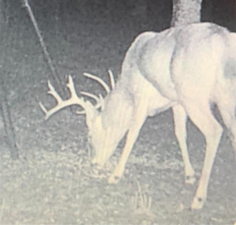 91.68 acres in Jack County - photo 30