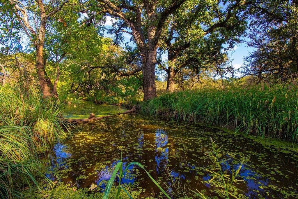 91.68 acres in Jack County - photo 10
