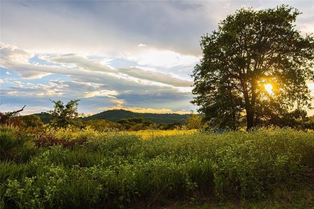 91.68 acres in Jack County - photo 18