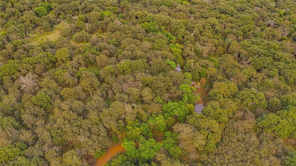 91.68 acres in Jack County - photo 19