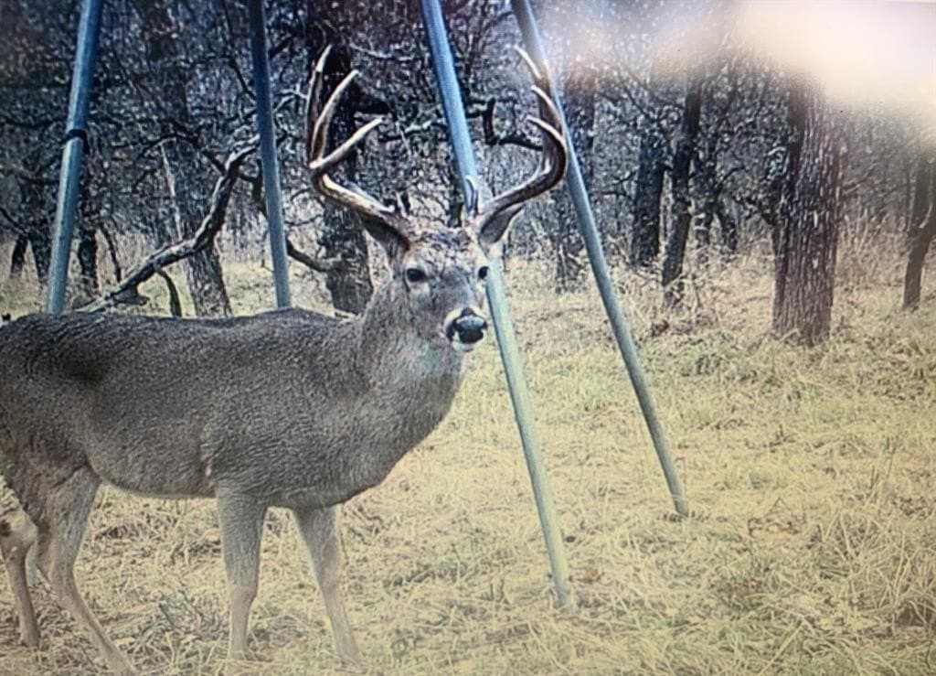 91.68 acres in Jack County - photo 25