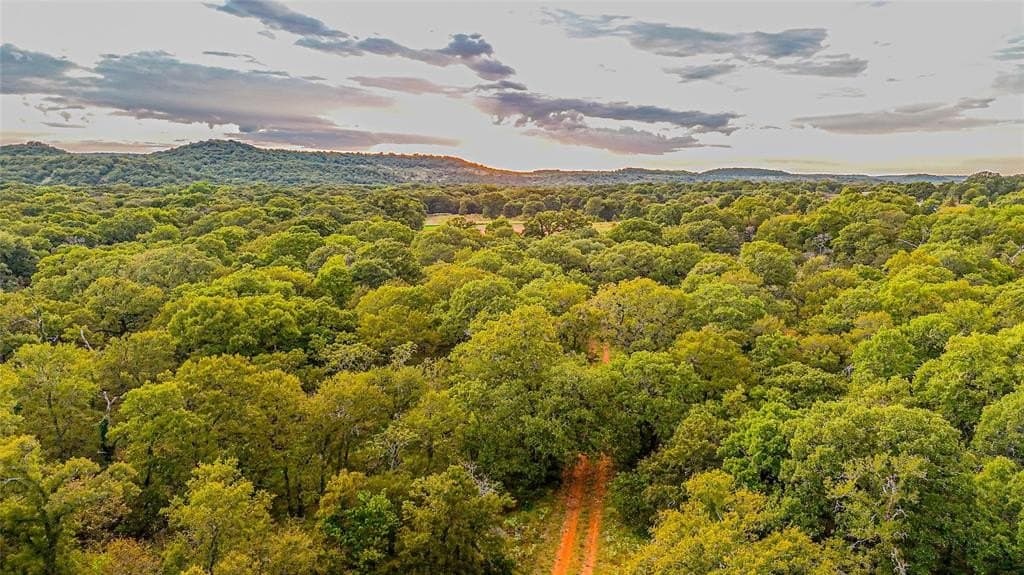 91.68 acres in Jack County - photo 9