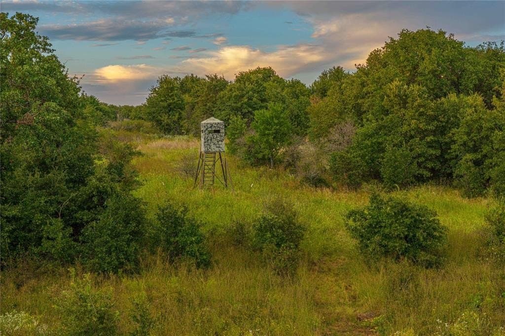 91.68 acres in Jack County - photo 17