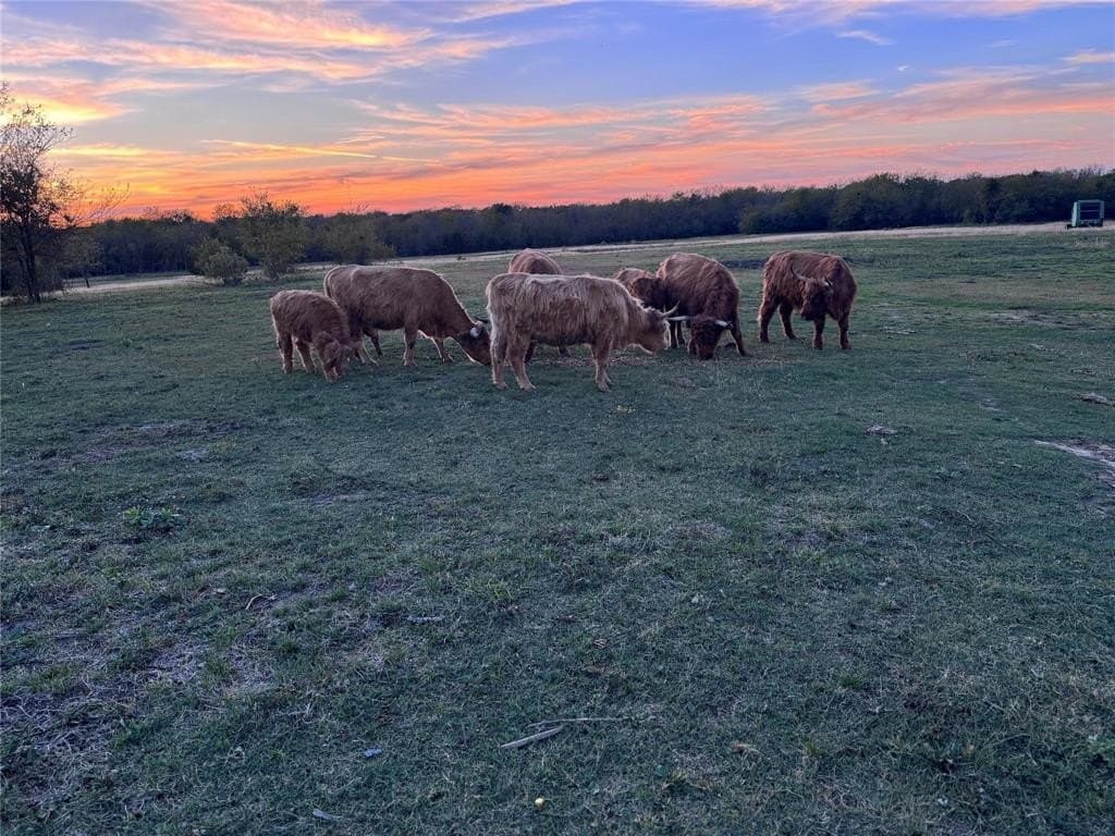 37 acres in Hunt County - photo 14