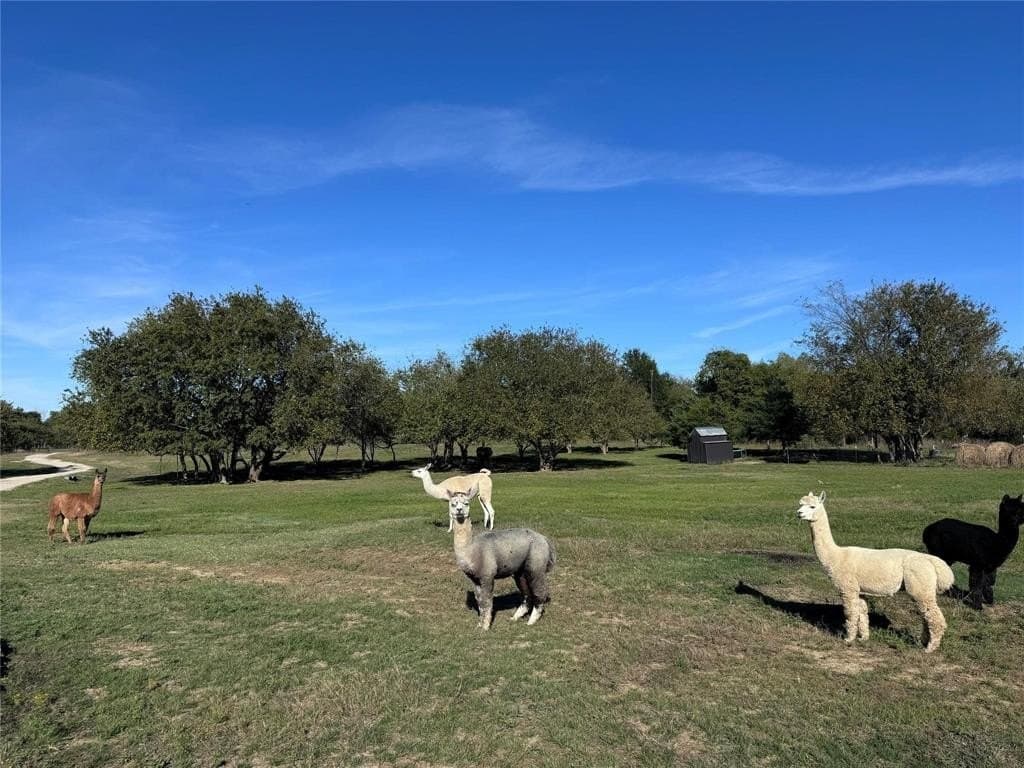 37 acres in Hunt County - photo 3
