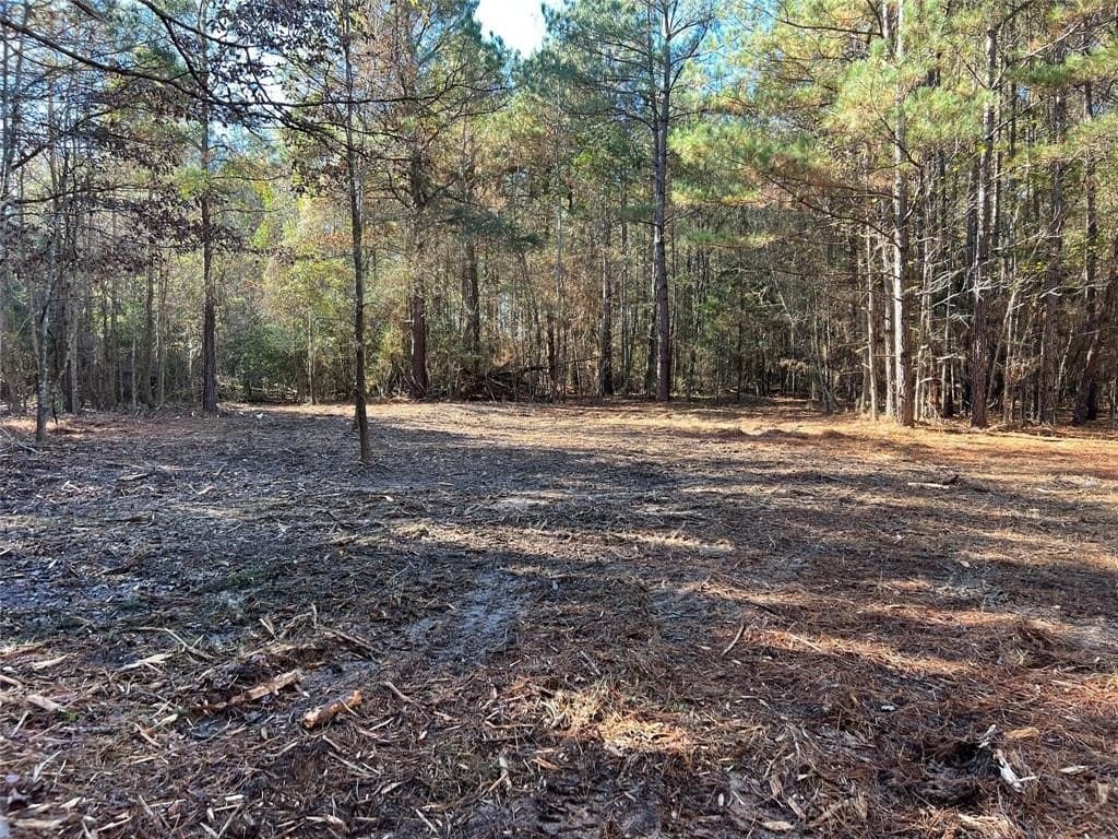 16.09 acres in Cass County - photo 4