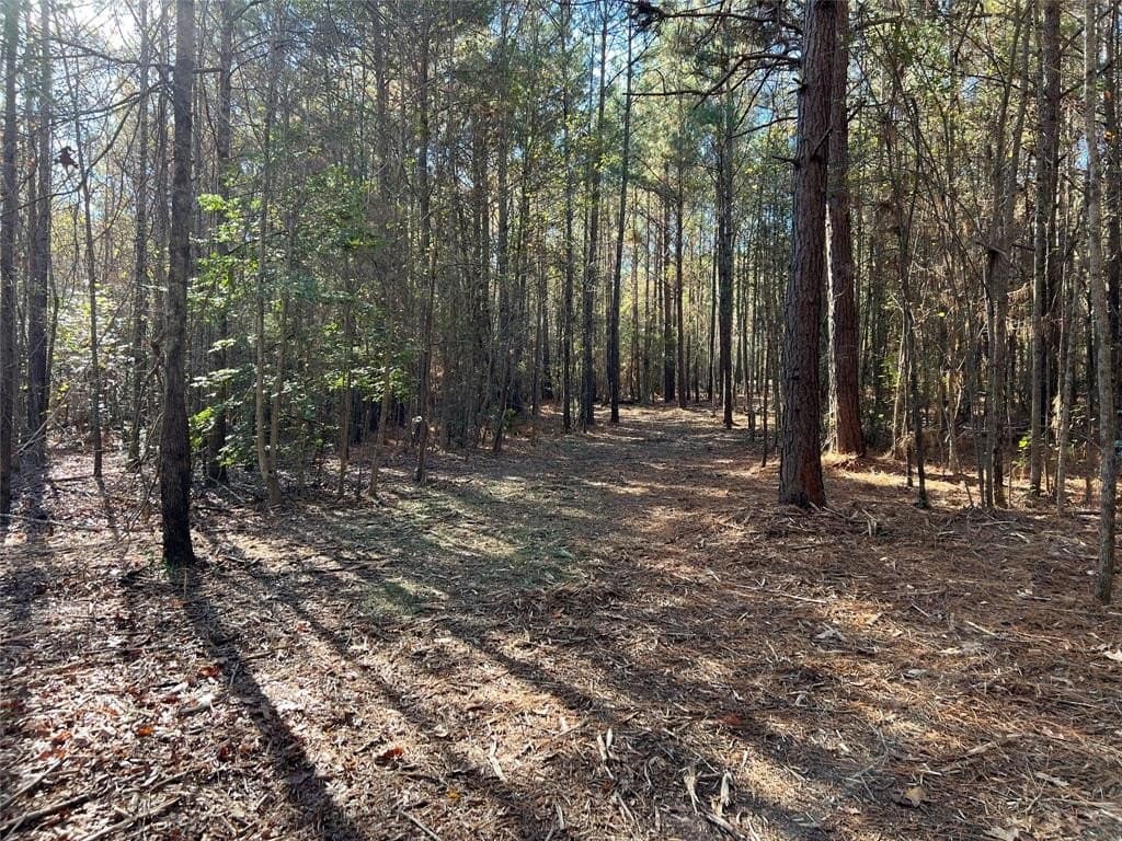 16.09 acres in Cass County - photo 9