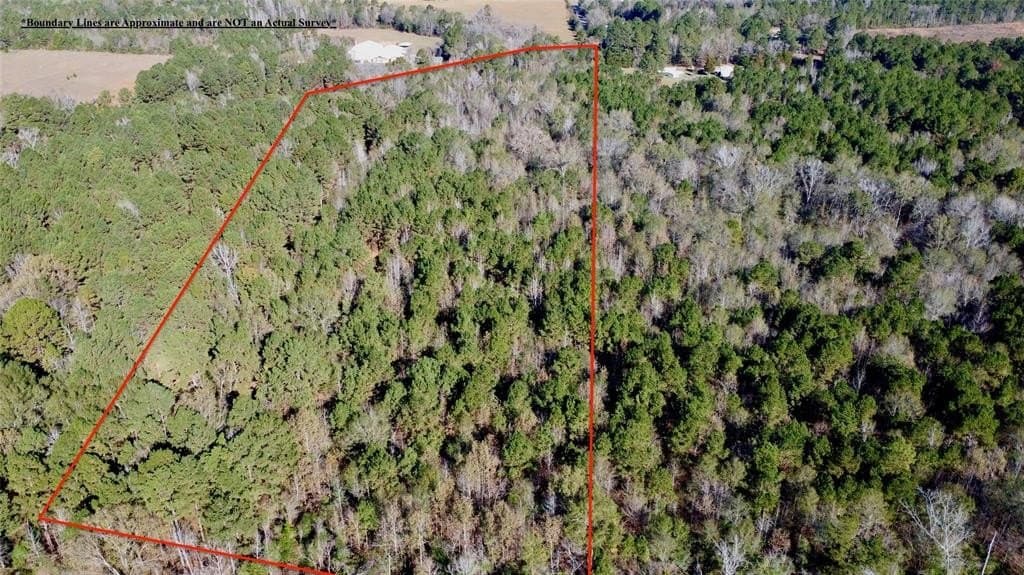 16.09 acres in Cass County - photo 7