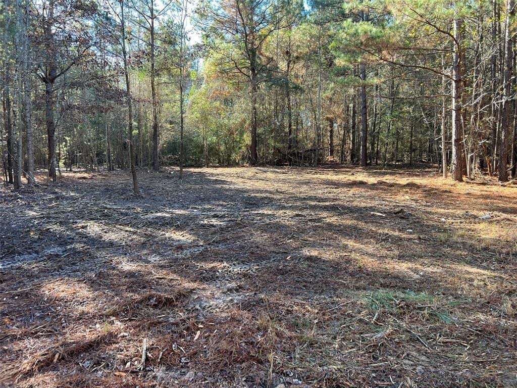 16.09 acres in Cass County - photo 2