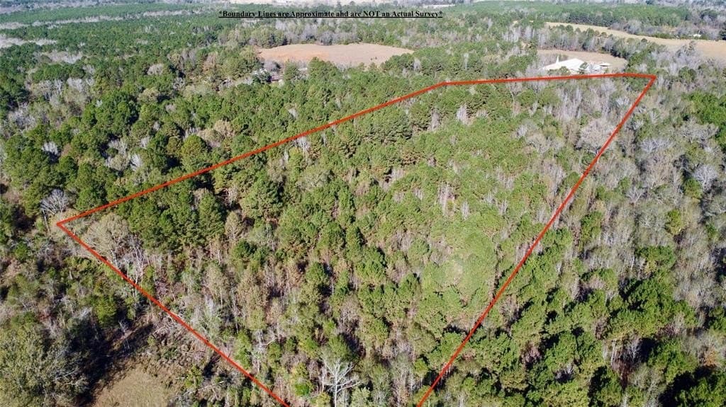 16.09 acres in Cass County - photo 3