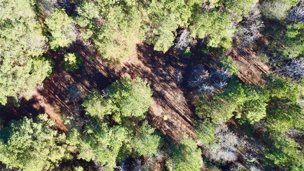 16.09 acres in Cass County - photo 8