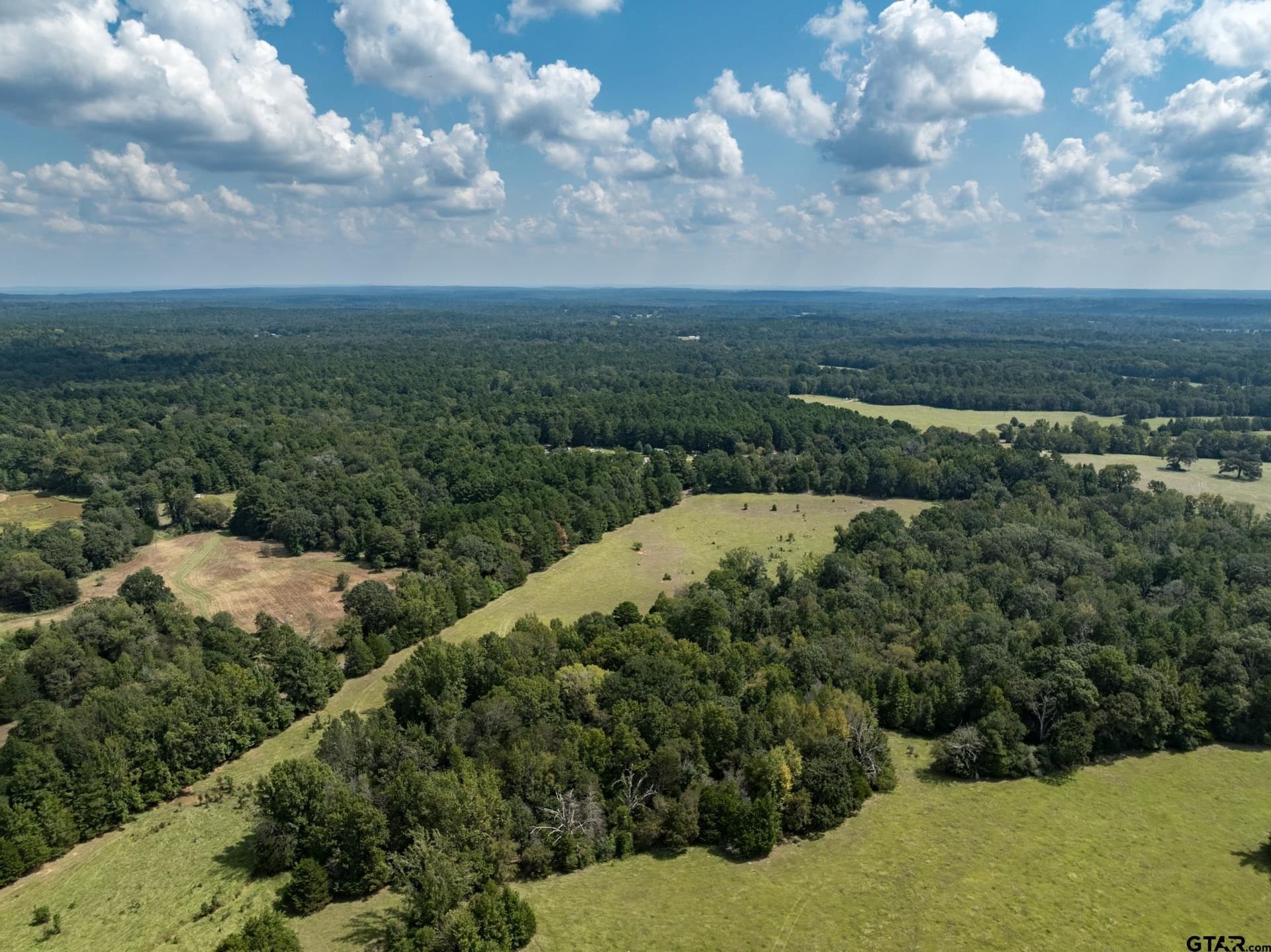 30 acres in Anderson County - photo 6