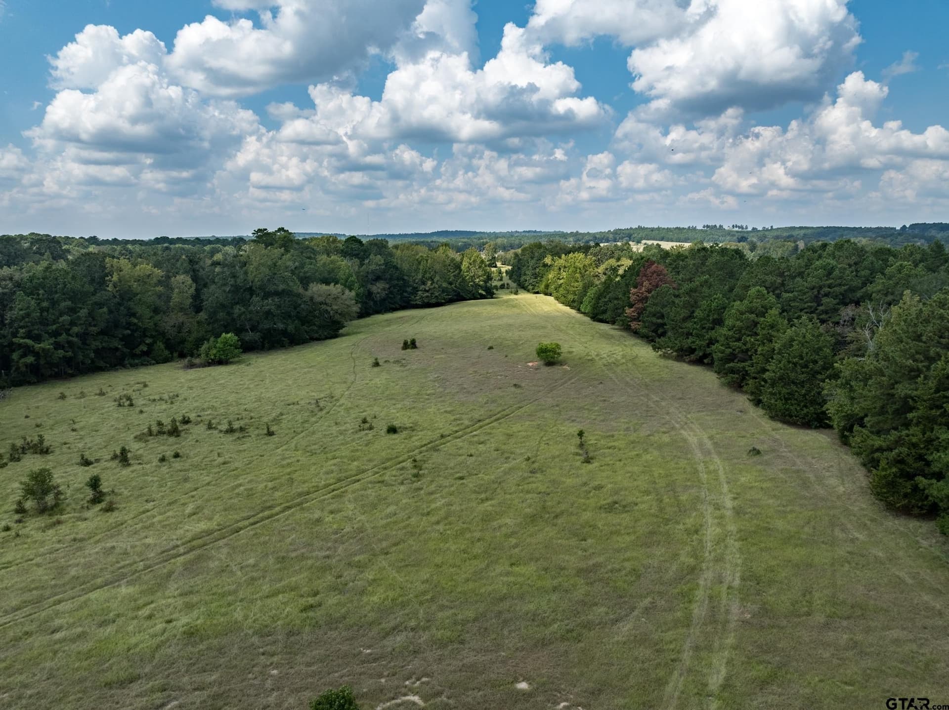 30 acres in Anderson County - photo 7