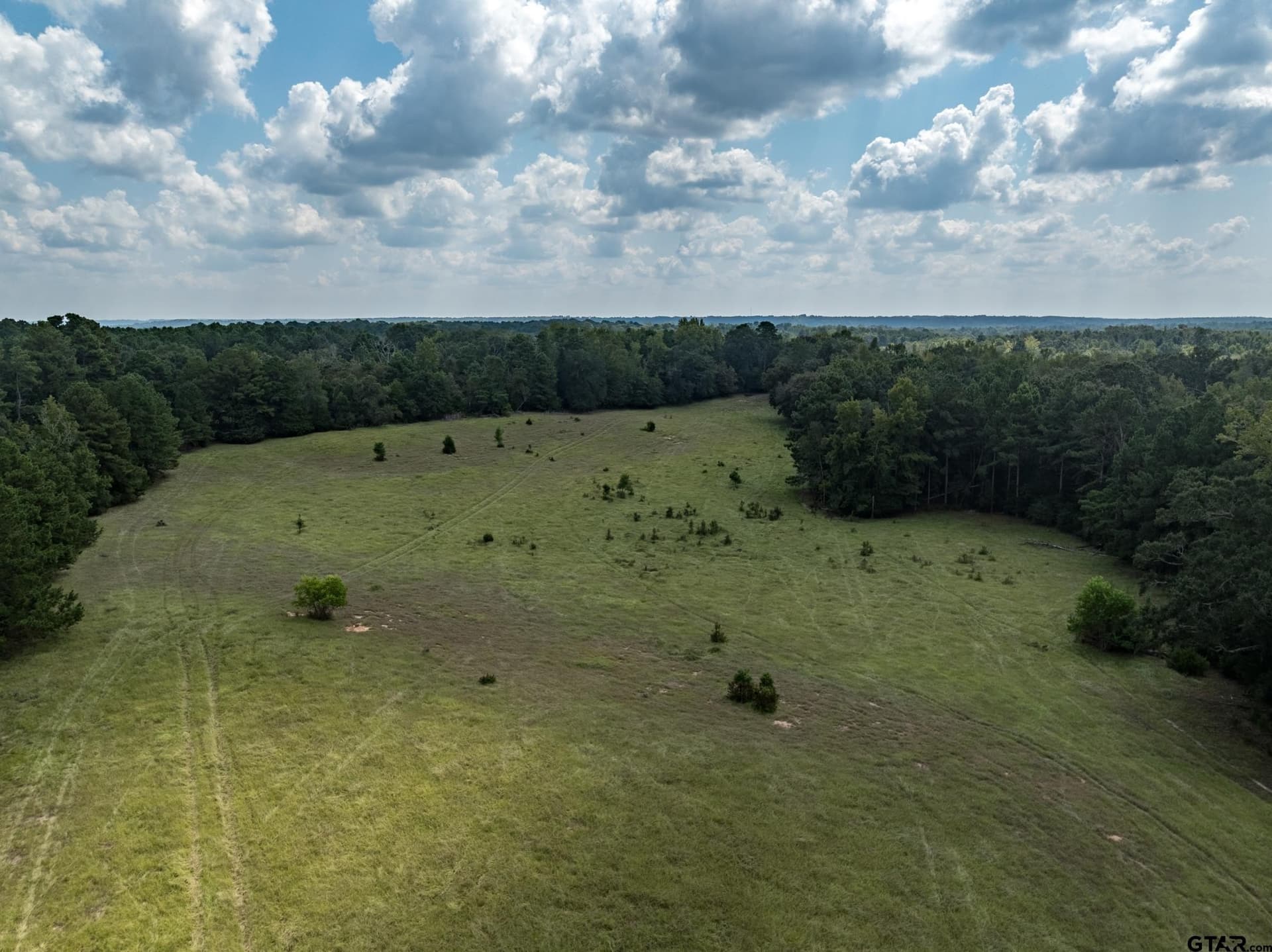 30 acres in Anderson County - photo 8