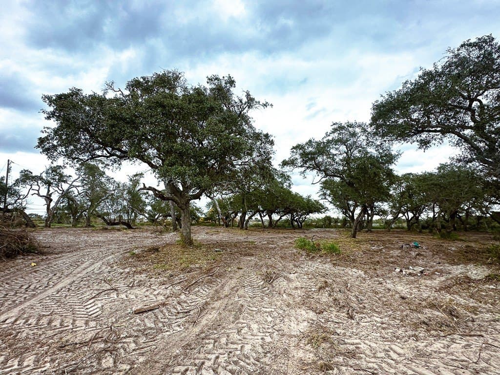0 acres in Texas County - photo 3