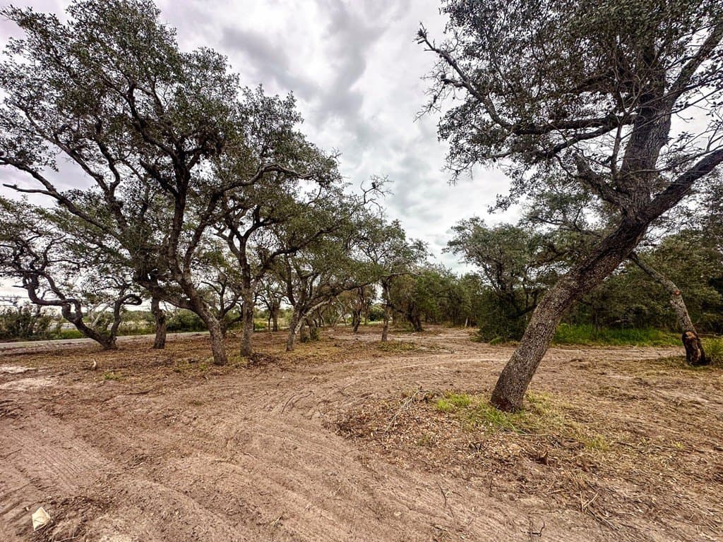 0 acres in Texas County - photo 6