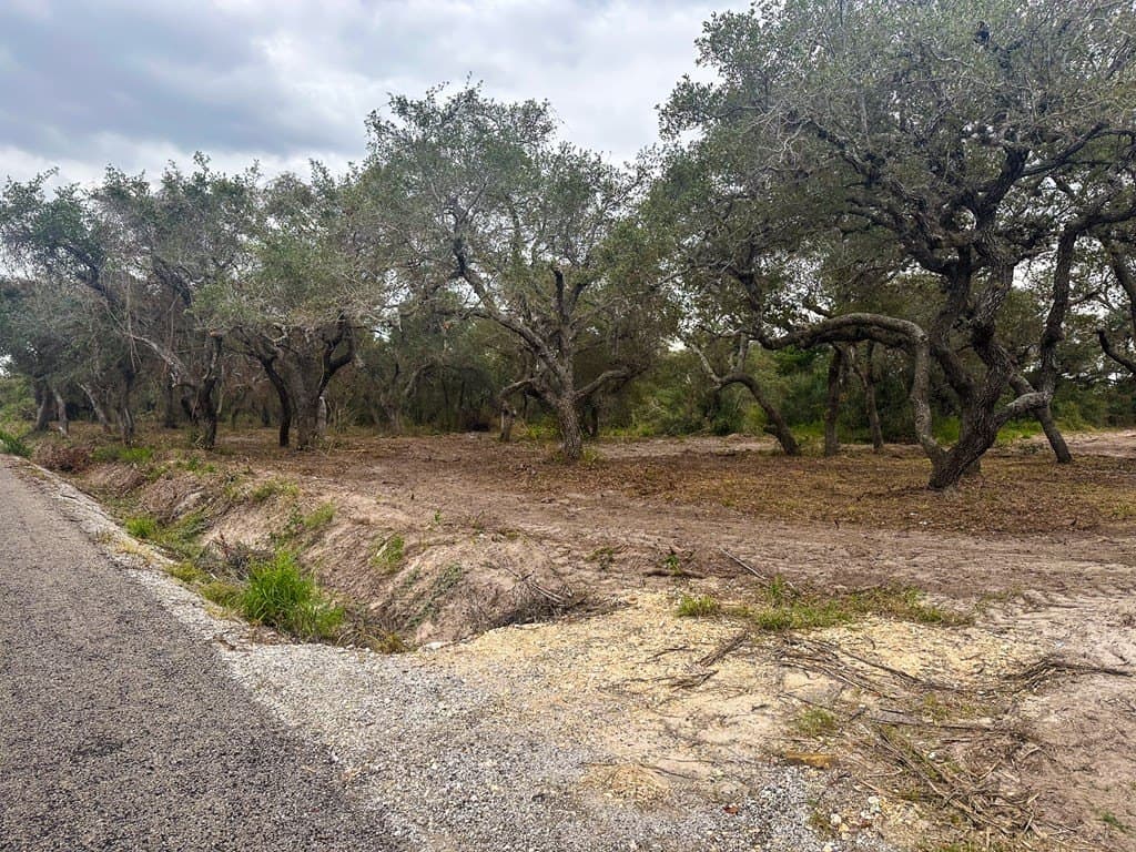 0 acres in Texas County - photo 7