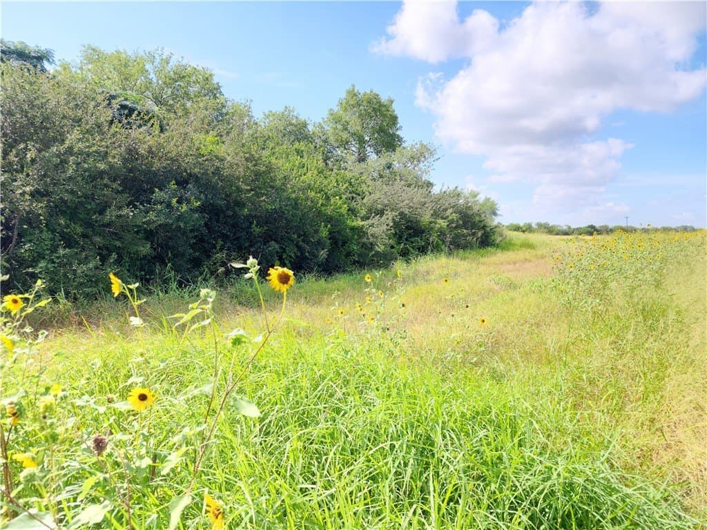 15.94 acres in San Patricio County - photo 4