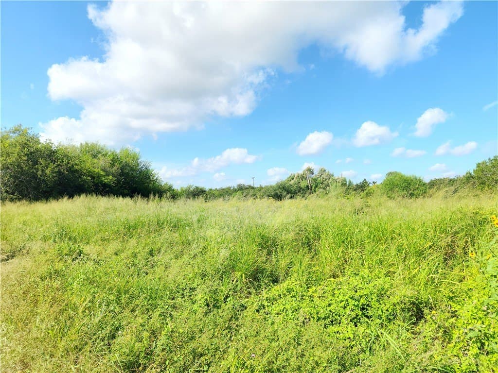 15.94 acres in San Patricio County - photo 5