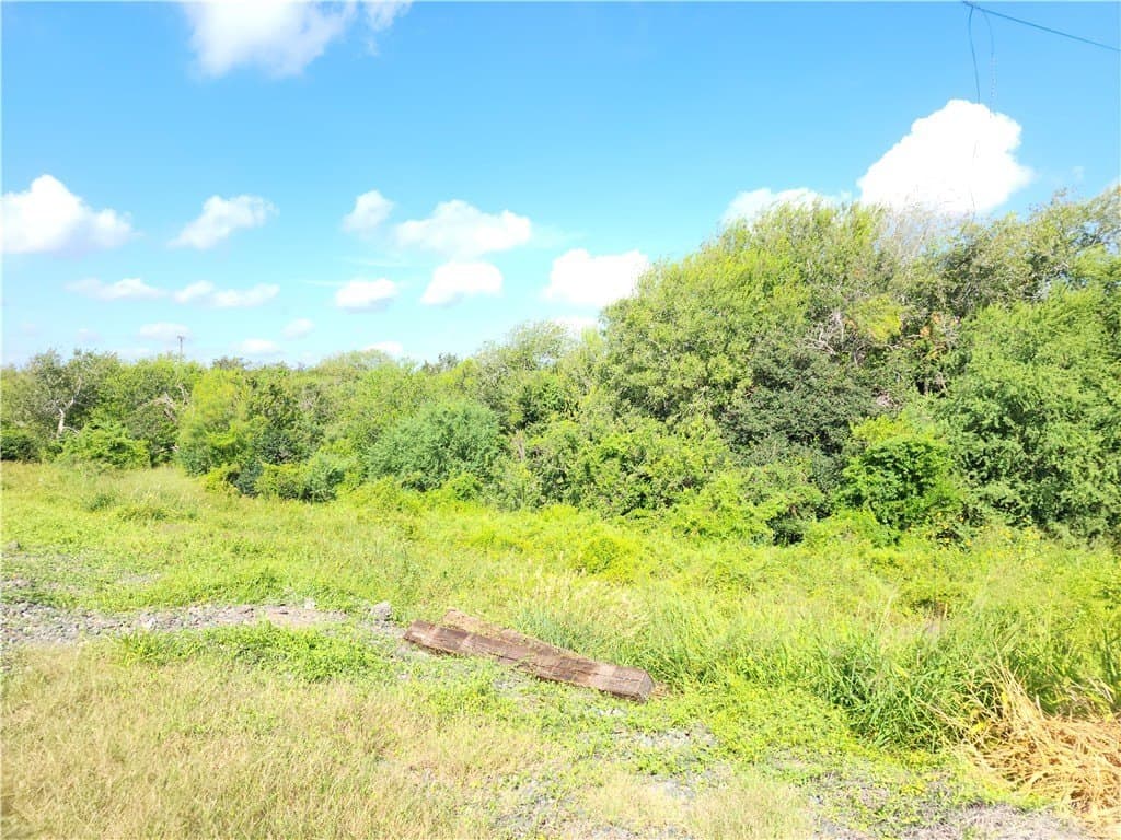 15.94 acres in San Patricio County - photo 3