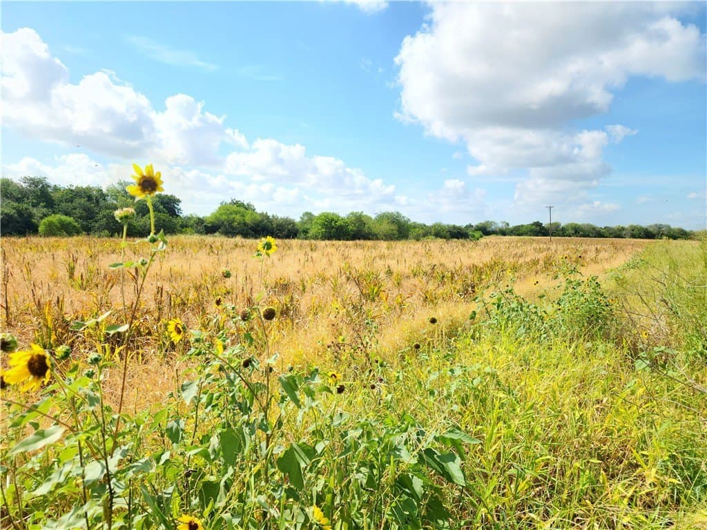 15.94 acres in San Patricio County - photo 9