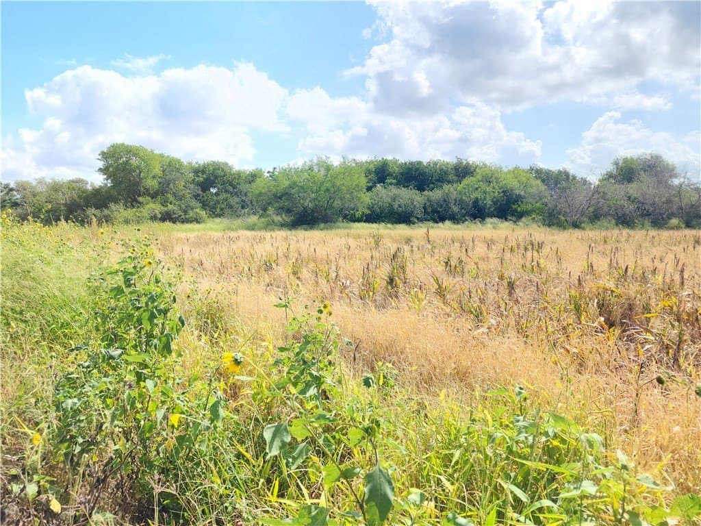 15.94 acres in San Patricio County - photo 8