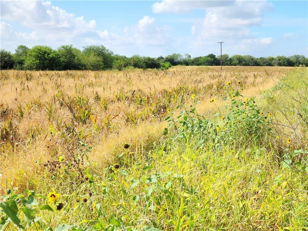 15.94 acres in San Patricio County - photo 2