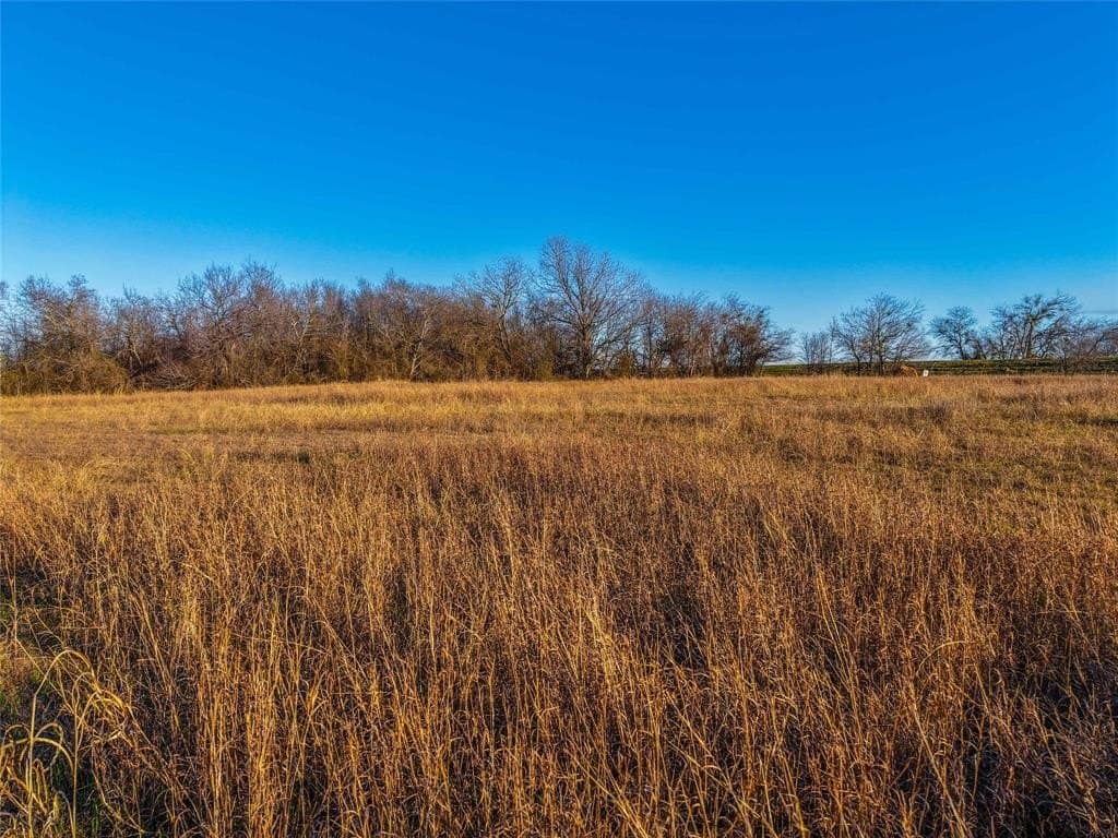 60.23 acres in Bell County - photo 19