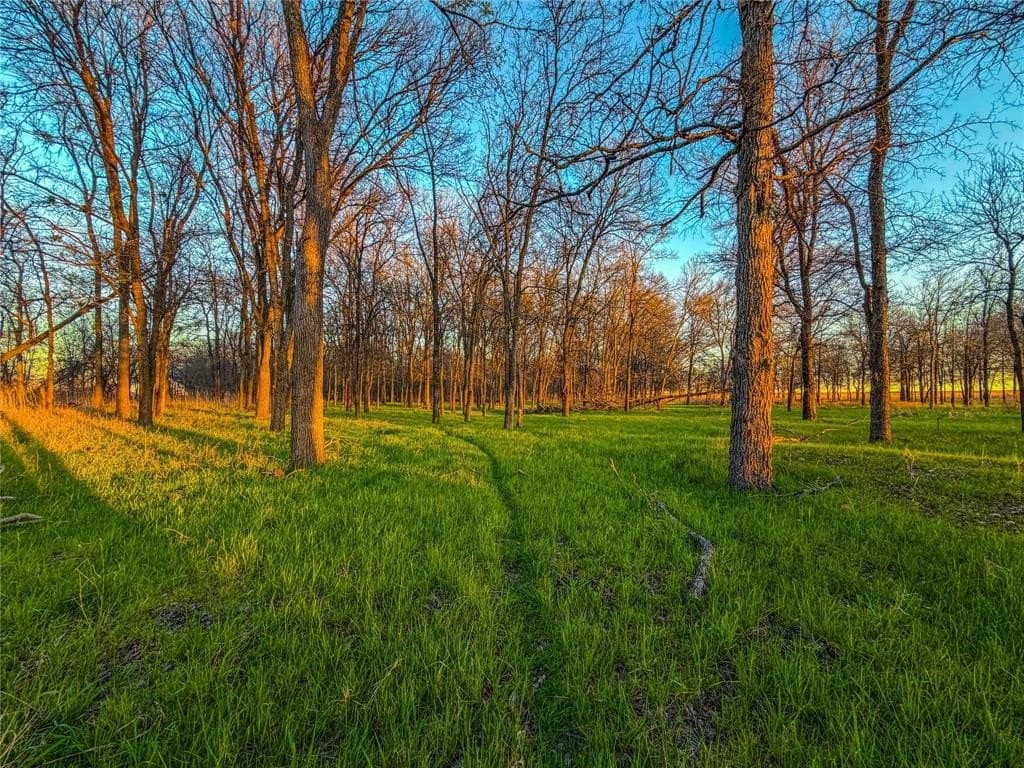 60.23 acres in Bell County - photo 21