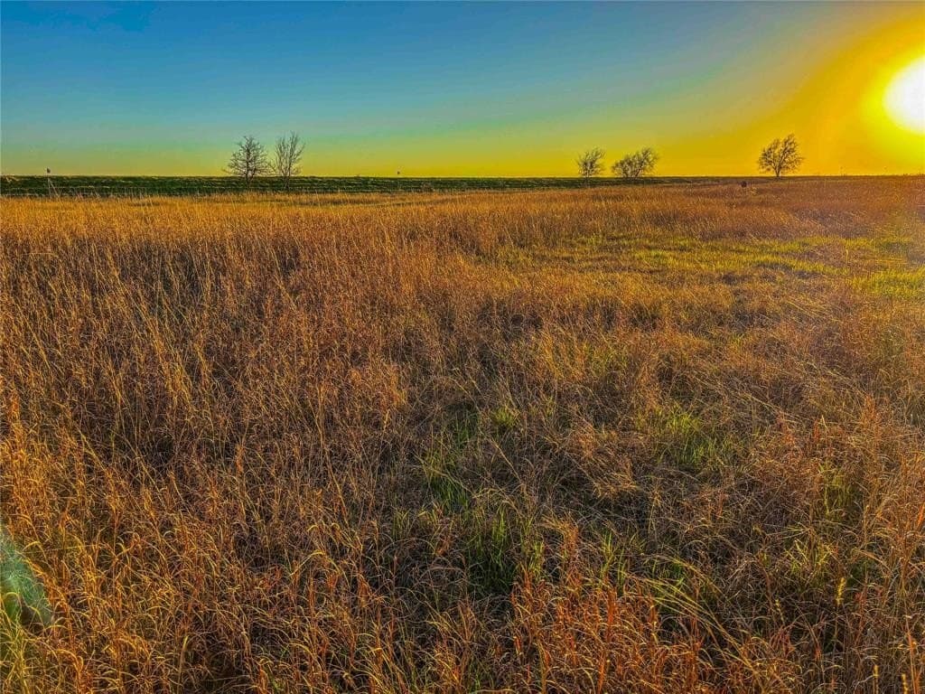 60.23 acres in Bell County - photo 8