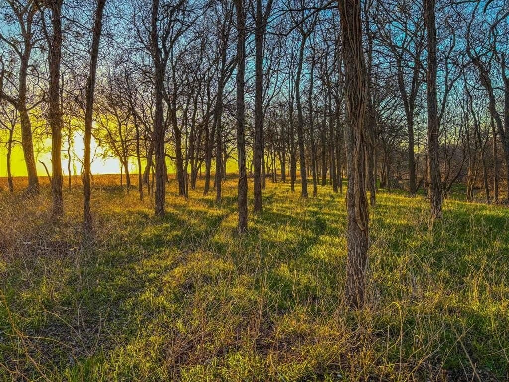 60.23 acres in Bell County - photo 4