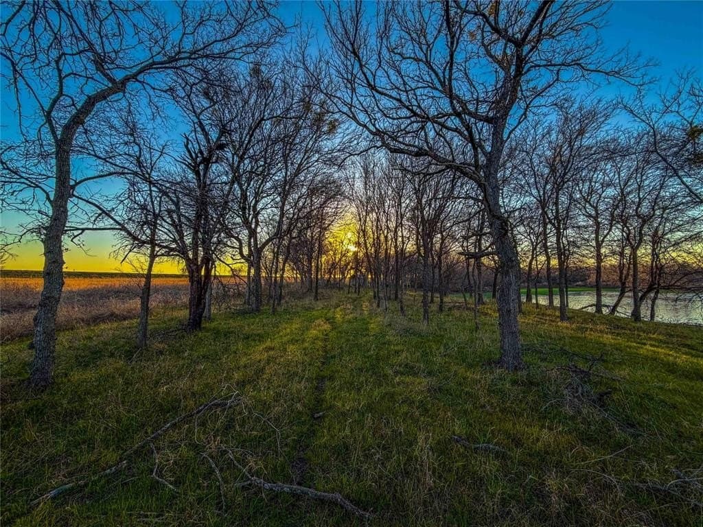 60.23 acres in Bell County - photo 20