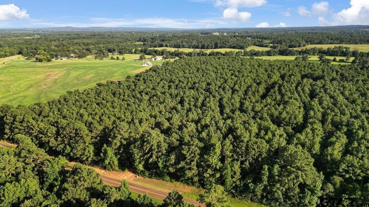 17 acres in Cherokee County - photo 3