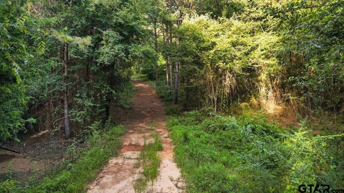 17 acres in Cherokee County - photo 4