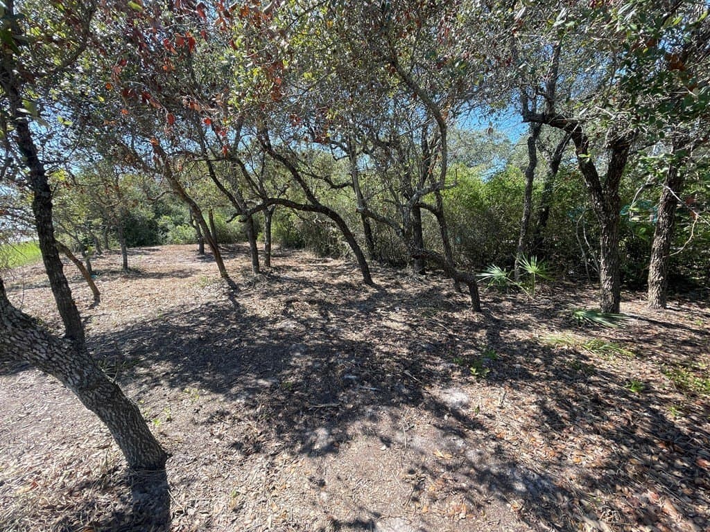 0 acres in Aransas County - photo 3