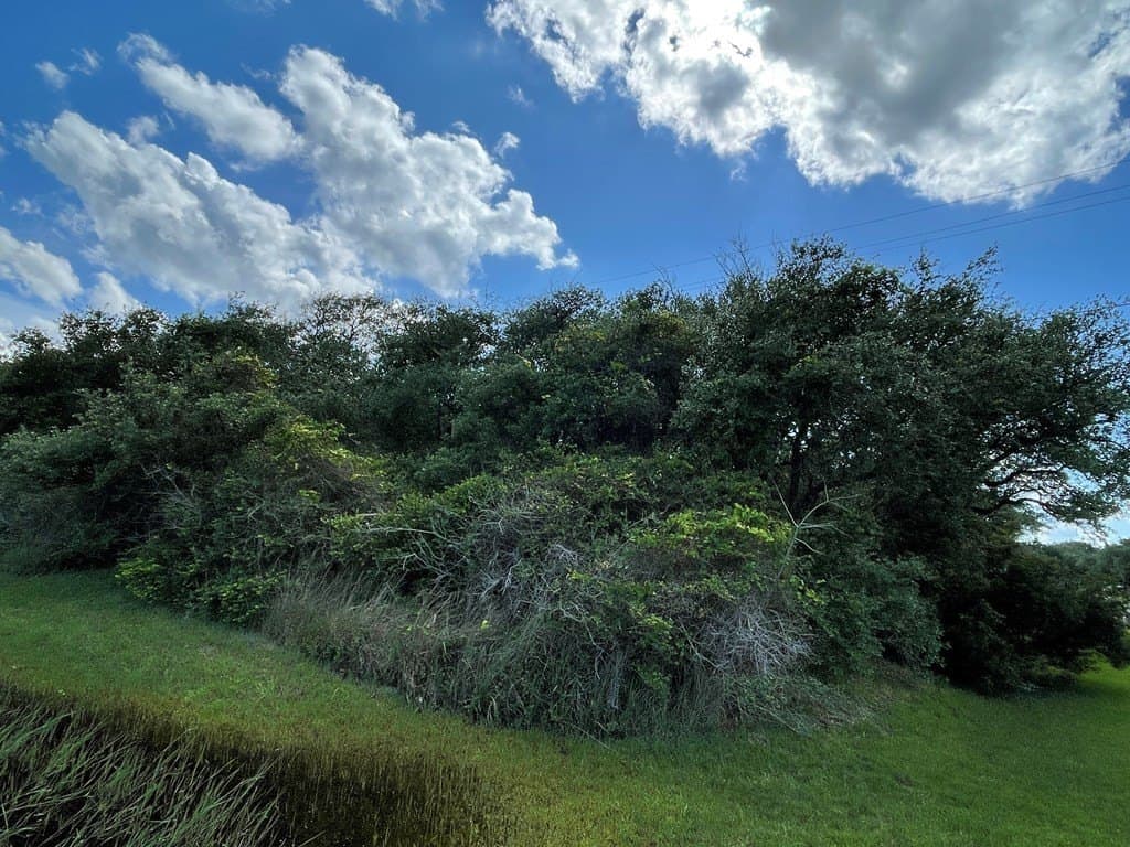 0 acres in Aransas County - photo 5