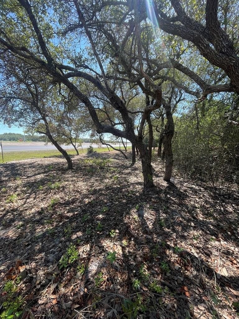 0 acres in Aransas County - photo 2